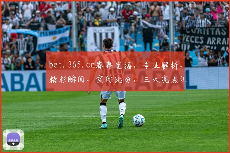 bet.365.cn赛事直播，专业解析，精彩瞬间，实时比分，三大亮点汇聚一网