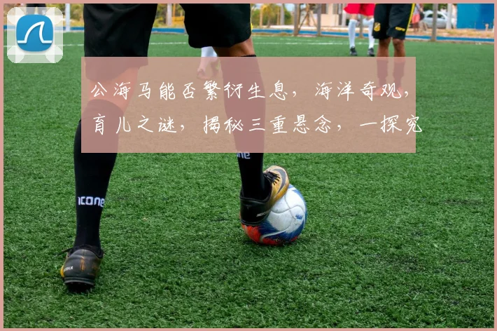 公海马能否繁衍生息，海洋奇观，育儿之谜，揭秘三重悬念，一探究竟